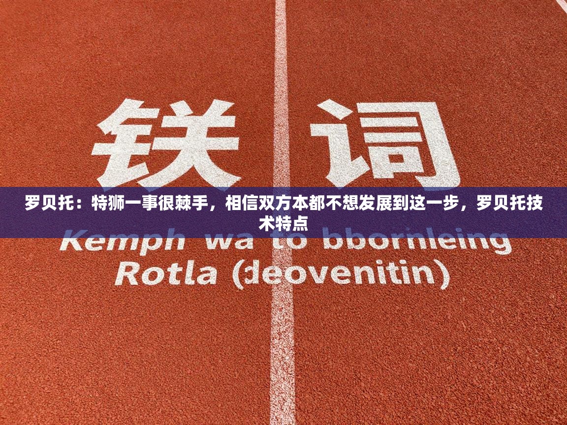罗贝托：特狮一事很棘手，相信双方本都不想发展到这一步，罗贝托技术特点  第2张
