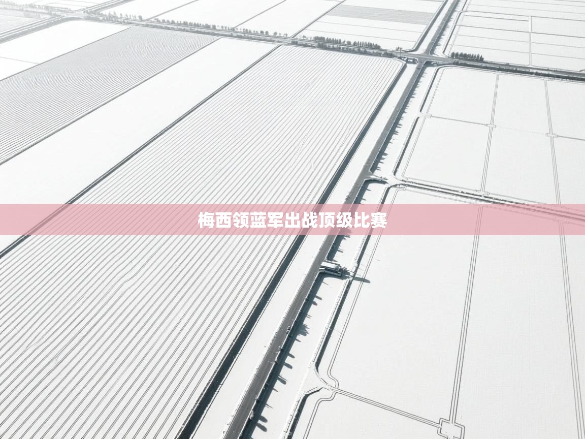 梅西领蓝军出战顶级比赛  第2张