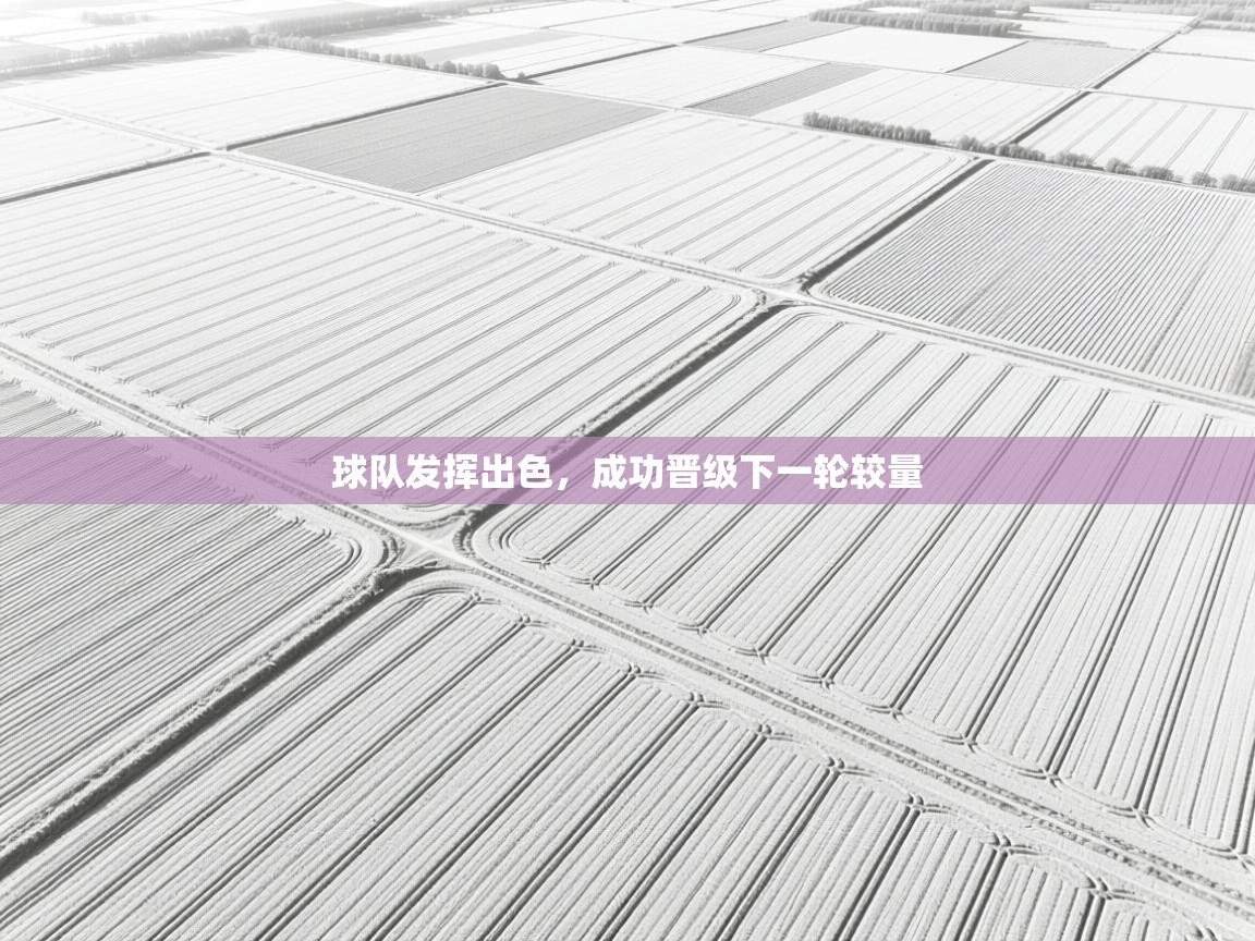 球队发挥出色，成功晋级下一轮较量  第1张